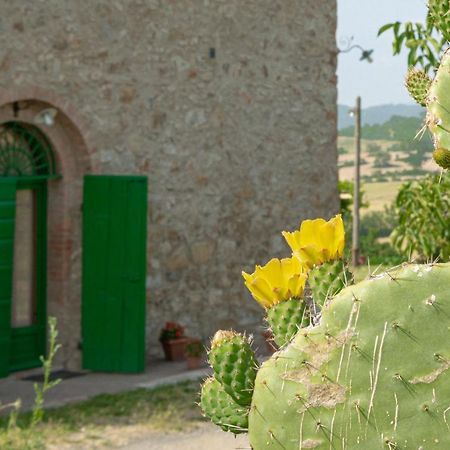 Agriturismo Casa Montecucco Giuncarico Eksteriør bilde